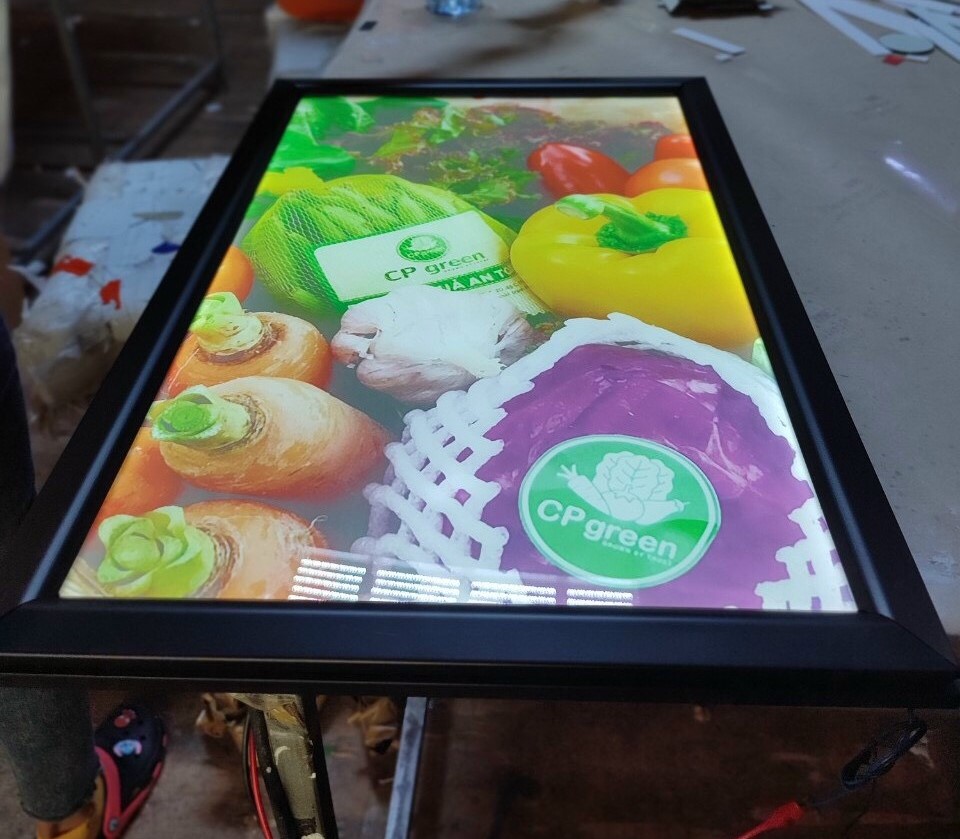 451417487_450212087810202_3139566901851205575_n